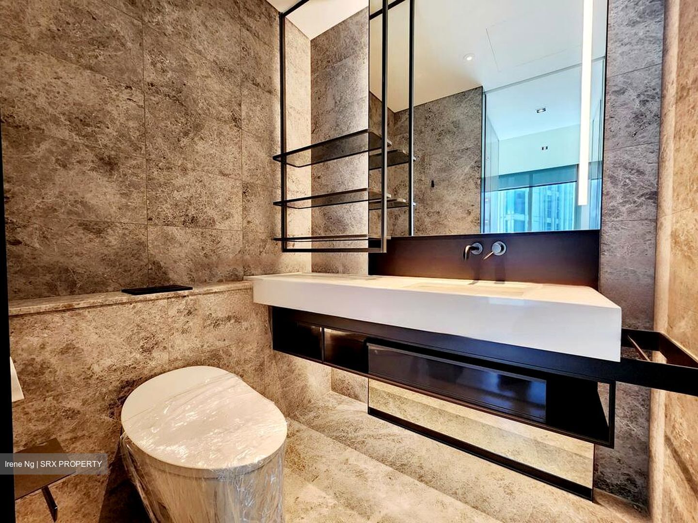 Cuscaden Reserve (D10), Condominium #480791101